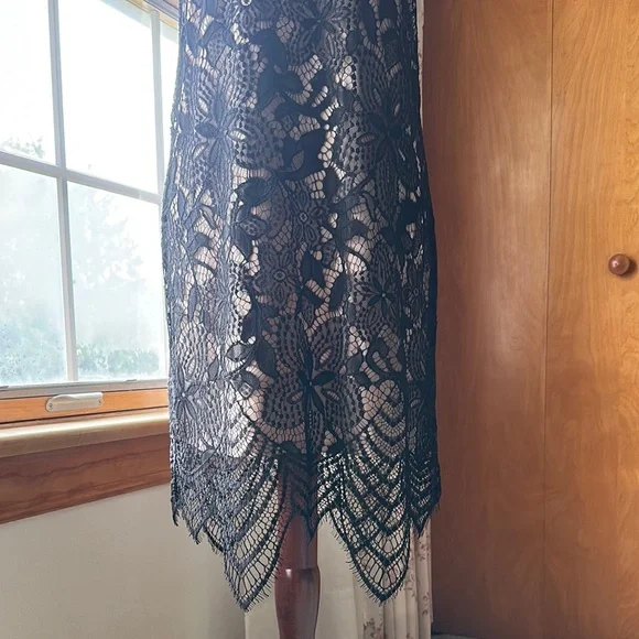 Express- NWT: Elegant Black Lace Dress - Picture 5 of 16